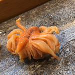 寿司栄 - 赤貝 閖上産