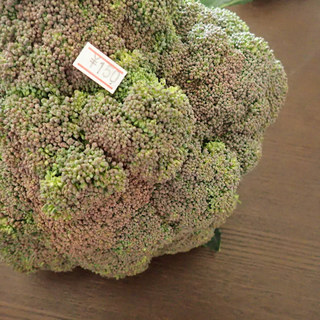 障害福祉サービス事業所 ほうゆう_1