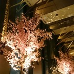 DINING & BAR TABLE 9 TOKYO - 桜