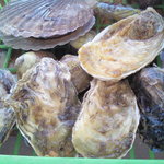 勇栄丸 - 籠に入ってきます