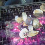 勇栄丸 - ばあべQ