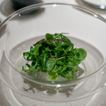 レストラン オオツ - 2019.4 青森ハーブサラダ