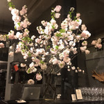 レストラン 高津 - 前回蕾だった桜が満開に♡