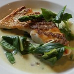 アルバトロス - 