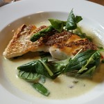 アルバトロス - 