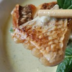 アルバトロス - 