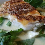 アルバトロス - 