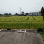 アルバトロス - 