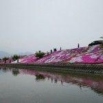 アルバトロス - 