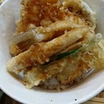 Tempura rindou - 