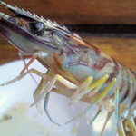 勇栄丸 - わたしを焼くのね…