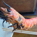 勇栄丸 - ぽっ♥