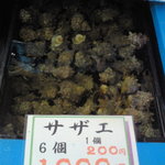 勇栄丸 - ほらね。