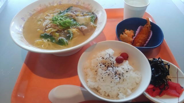 国立国会図書館 カフェテリア 山田川 カフェ 食べログ