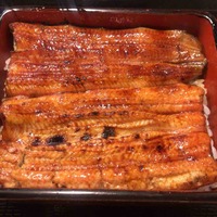 うなぎ 目白ぞろ芽 - 