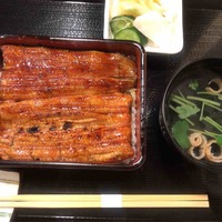 うなぎ 目白ぞろ芽 - 
