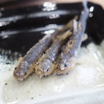 柚木元 - 稚鮎素揚げ