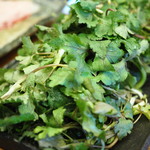 柚木元 - 天然の野みつば