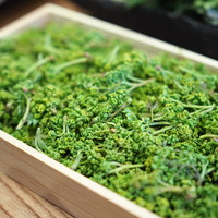 柚木元 - 花山椒