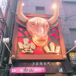 ヒレ肉の宝山 錦糸町店 - 