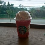Starbucks Coffee - ストロベリーベリーマッチフラペチーノ レッド(19-04)