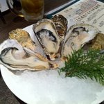 牛たん炭焼 利久 西口本店 - 生かきあり、、