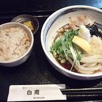 讃岐うどん白庵 - 