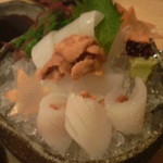 酒菜処 きっすい - イカとウニのお刺身