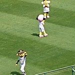 阪神甲子園球場 - 