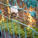 トゥ・ラ・ジョア - 