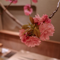 すし処 めくみ - 