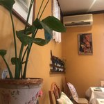 TRATTORIA ALBERO - 