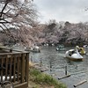 パールレディ 吉祥寺店