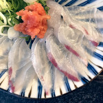 ようちゃん - 黒鯛の刺身