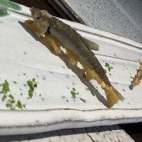 日本料理 TOBIUME - 