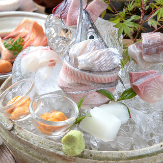 地元の漁港で朝水揚げされた魚を使いとことん鮮度にこだわります