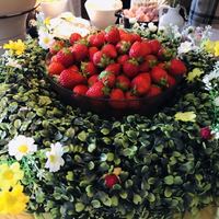 ゼックスウエスト サルヴァトーレ クオモブロス - 