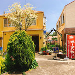 レニエ・ワインハウス - 