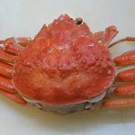 美よし野寿司 - せこがに（１）