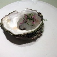 洋食 ヨコオ - 真ガキ・海水のジュレ