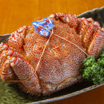 浜っ子 読売北海道ビル店