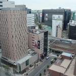 インペリアルバイキング サール - レストランからの眺め