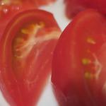 酒菜坊 橋蔵 - 冷やしトマト　ズームアップ