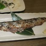 酒菜坊 橋蔵 - 新さんま塩焼　ズームアップ