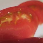 酒菜坊 橋蔵 - 冷やしトマト　ズームアップ