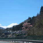 山梨ほうとう 浅間茶屋 - 桜と富士・・屋根の雪