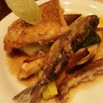 サッポリーニ - 