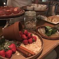 スミレオオサカ - 