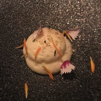 スミレオオサカ - 