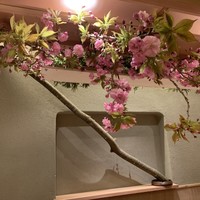 すし処 めくみ - 